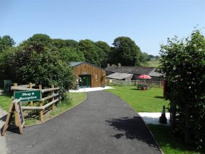 Beech Croft Farm Reception